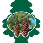 UIP10101 (CRF ROYAL PINE TREES 1/CD) PACK OF 24