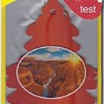 UIP17169 (COPPER CANYON (DISCO)) PACK OF 24