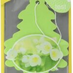 UIP10433 (CRF JASMINE TREES 1/CD) PACK OF 24